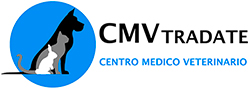 CENTRO MEDICO VETERINARIO