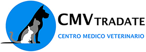 CENTRO MEDICO VETERINARIO