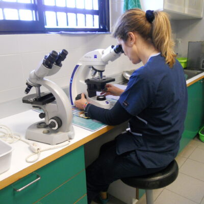laboratorio_analisi